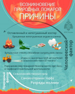 Причины возникновения природных пожаров