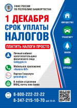 1 декабря срок уплаты налогов