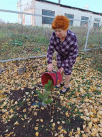 Аллея ветеранов педагогического труда