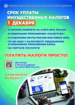 1 декабря срок уплаты налогов