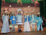 Прошёл зональный конкурс мисс снегурочка