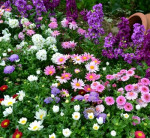 Самое лучшее подсобное хозяйство