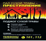 Пал сухой травы — преступление