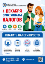 1 декабря срок уплаты налогов