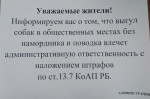 Выгул собак в общественных местах
