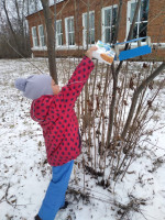 «СИНИЧКИН ДЕНЬ» 