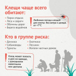 Сезон клещей в самом разгаре!